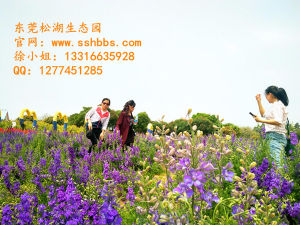 夏季旅行，你必須知道的那些事兒！